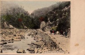 The Road of Chuzenji at Nikko.