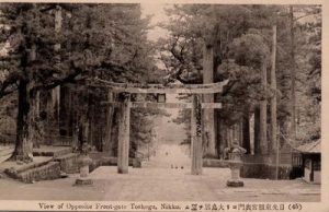 View of Opposite Front-gate Toshogu, Nikko. (45)日光東照宮表門ヨリ大鳥居ヲ望ム