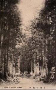 日光杉並木 Row of cedars Nikko