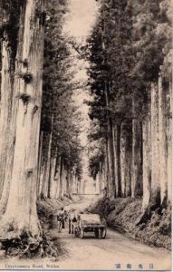 日光街道 Cryptomeria Road, Nikko.