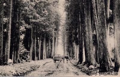 日光今市 IMAICHI, NIKKO