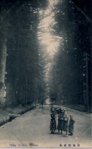 日光杉並木 Cedar Avenue, Nikko.