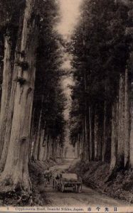 2 Cryptomeria Road, Imaichi Nikko, Japan. 日光今市