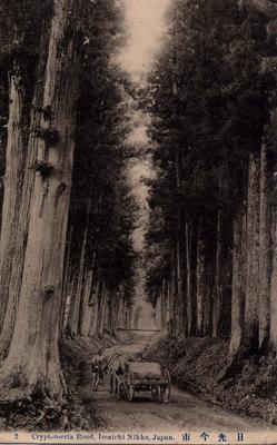 2 Cryptomeria Road, Imaichi Nikko, Japan. 日光今市