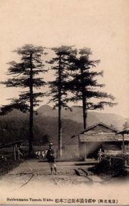 Sanbonmatsu Yumoto Nikko (日光名所)中禅寺湯元街道三本松