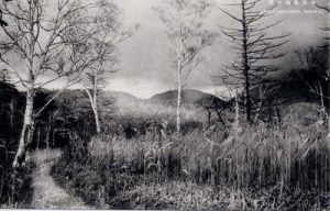 日光戦場ヶ原 SENJOGAHARA, NIKKO.